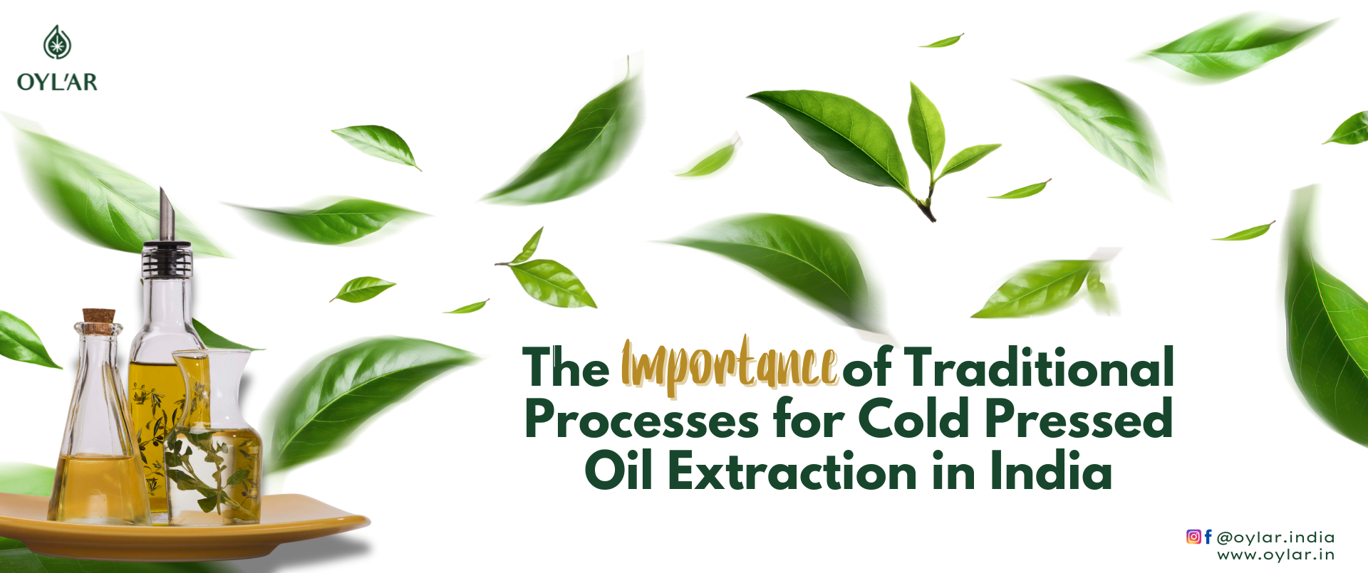 Cold Pressed Oil Extraction