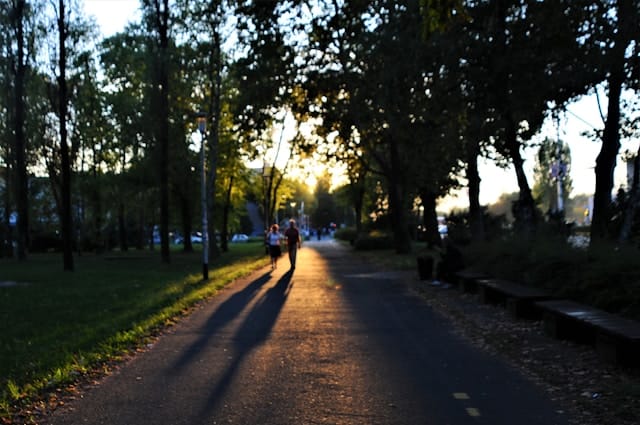 healthy couple walking in the park
